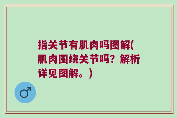 指关节有肌肉吗图解(肌肉围绕关节吗?解析详见图解。) 指关节有肌肉吗图解(肌肉围绕关节吗?解析详见图解。)